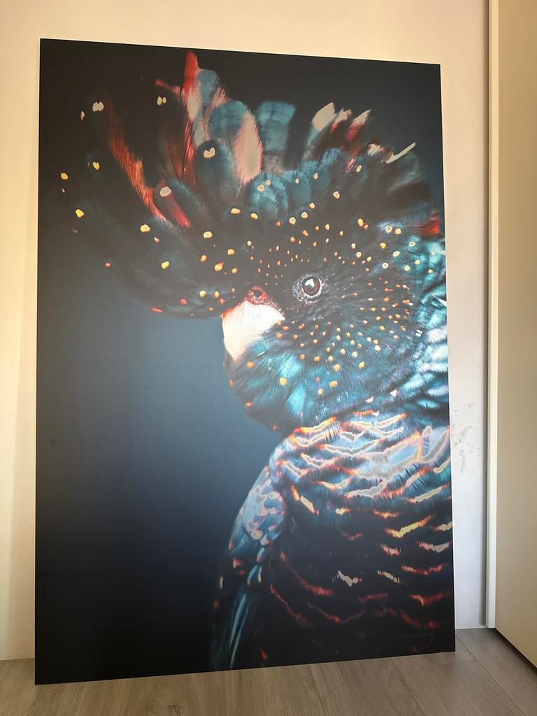 Grote wanddecoratie kaketoe - Zwart met kleurrijke accenten, Ophalen, 100 tot 125 cm, 75 cm of meer, Print