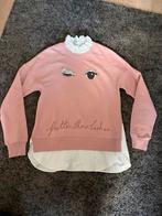 Ted Baker Roze Trui, Verzenden, Nieuw, Maat 34 (XS) of kleiner, Roze