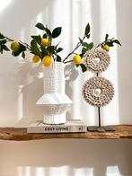 Duo ornament Kauri schelp, Nieuw, Ophalen of Verzenden, Aa, Aa