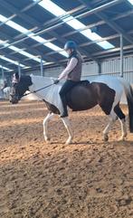 LEASE PAARDJE GEZOCHT, Dieren en Toebehoren, Ophalen of Verzenden