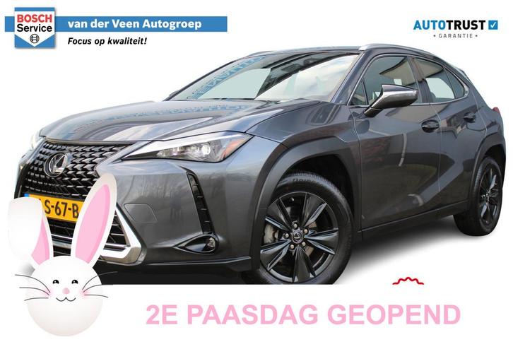 Lexus UX 250h | Achteruitrijcamera | Keyless entry/start | C, Auto's, Lexus, Bedrijf, Te koop, UX, ABS, Achteruitrijcamera, Airbags