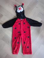 Leuk lieveheersbeestje kostuum - Maat 104, Ophalen of Verzenden, Gebruikt, 104 of kleiner, Jongen of Meisje