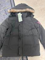 Canada Goose Jas - Nieuw - Maat L, Kleding | Heren, Jassen | Winter, Ophalen of Verzenden, Nieuw, Maat 52/54 (L)