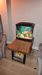 Aquarium inclusief vissen en toebehoren, Dieren en Toebehoren, Vissen | Aquaria en Toebehoren, Ophalen, Gebruikt, Gevuld zoetwateraquarium