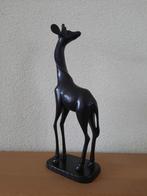 Giraffe, Ophalen