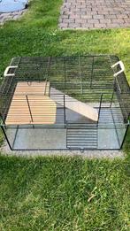 Hok, Dieren en Toebehoren, Minder dan 75 cm, Hok, Hamster, Ophalen