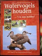 watervogels, Dieren en Toebehoren, Meerdere dieren, Eend