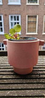 Designer planters, Ophalen of Verzenden, Zo goed als nieuw, Rond, Minder dan 25 cm