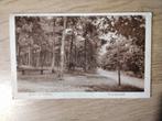 Hattem, Boschgezicht., Verzenden, 1920 tot 1940, Gelopen, Gelderland