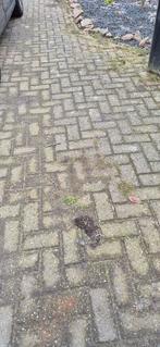 Bestrating voor oprit - 45 m2 gratis, Ophalen, Gebruikt, Klinkers, 10 m² of meer
