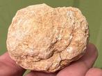 Bergkristal geode mineralen set ABC, Verzamelen, Mineralen en Fossielen, Ophalen of Verzenden, Mineraal