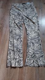 Flared legging,broek, Kleding | Dames, Broeken en Pantalons, Ophalen of Verzenden, Zo goed als nieuw, Zwart