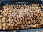 Verse Walnoten Oogst 2025 - Nog 20kg beschikbaar!, Diversen, Levensmiddelen, Ophalen