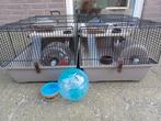 2 hamster kooien compleet met hamsterbal en extra voerbakje!, Dieren en Toebehoren, Kooi, Minder dan 75 cm, Hamster, Minder dan 60 cm