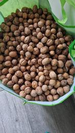 Walnoten – €3,99 per kg (Vaste Prijs) Gedroogd - 2025 OP=OP, Ophalen