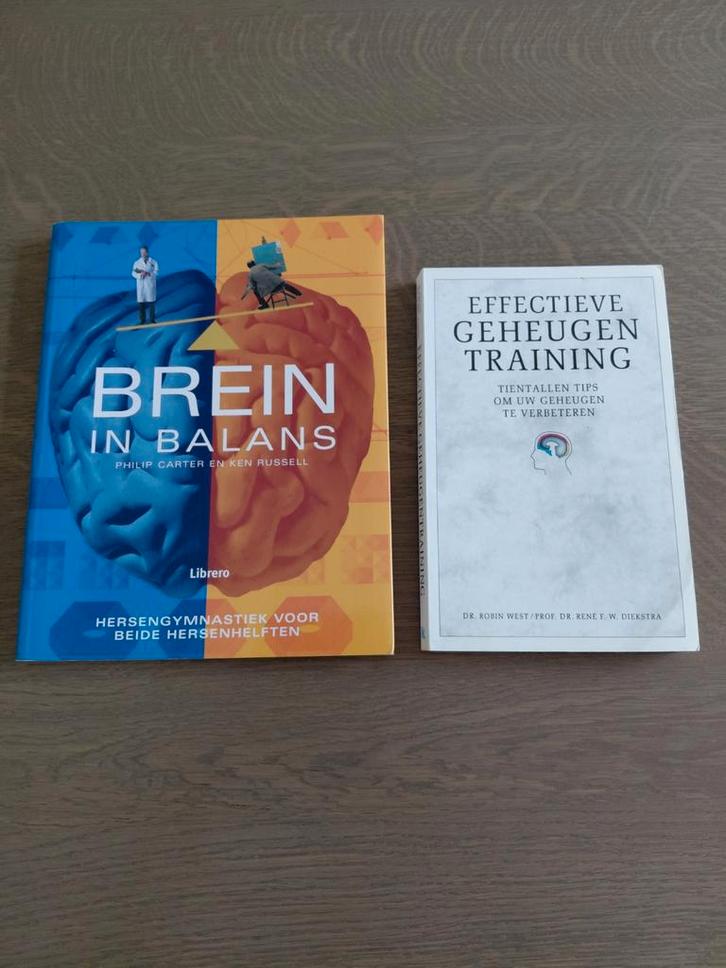 BOEKEN : BREIN IN BALANS - EFFECTIEVE GEHEUGENTRAINING, Boeken, Advies, Hulp en Training, Gelezen, Ophalen of Verzenden
