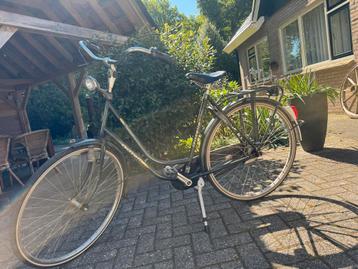 Gazelle Impala beschikbaar voor biedingen