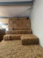 kleine balen stro te koop, Dieren en Toebehoren, Dierenvoeding, Ophalen of Verzenden, Vee