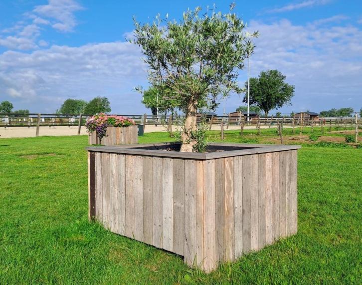 Bomenbak, Tuin en Terras, Bloembakken en Plantenbakken, Nieuw, Hout, Tuin, 60 cm of meer, 100 cm of meer, Rechthoekig, Ophalen