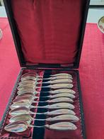 Zilveren borrellepeltjes in doos, Antiek en Kunst, Ophalen of Verzenden