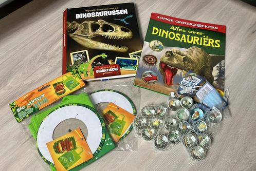 Dinosaurus vakantiepakket boeken knikkers lampion tasje, Kinderen en Baby's, Speelgoed | Overig, Zo goed als nieuw, Jongen of Meisje