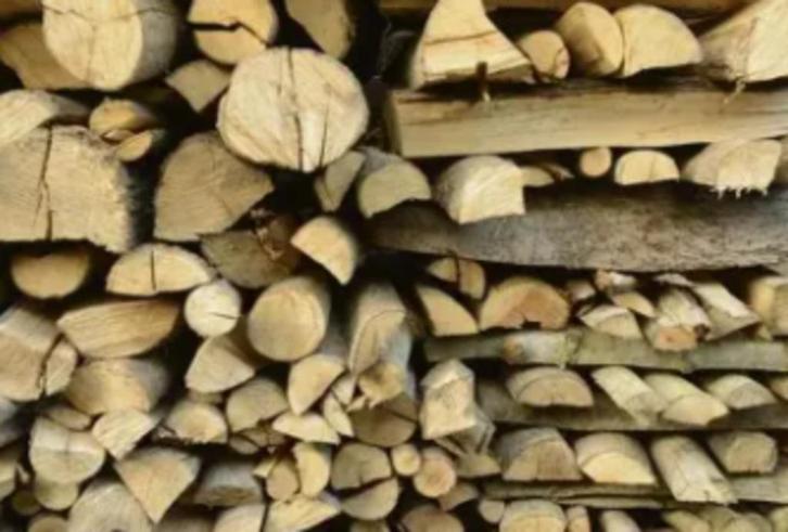 Gratis brandhout gezocht voor Manege de Dollard, Tuin en Terras, Haardhout, Minder dan 3 m³, Ophalen