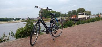 Gazelle Riacho beschikbaar voor biedingen
