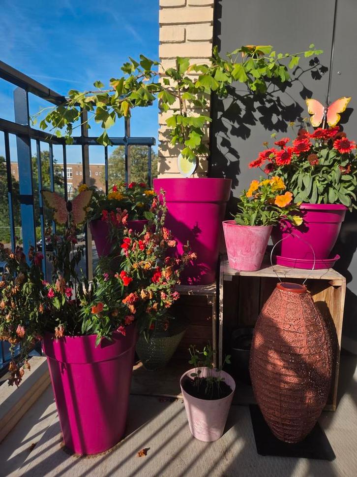 Elho plantenbakken. Set van 5 ( diverse modellen) €20, Tuin en Terras, Bloembakken en Plantenbakken, Gebruikt, Kunststof, Balkon