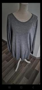 62)Te koop ZGAN grijze trui maat 54/56, Trui of Vest, Ophalen of Verzenden, Zo goed als nieuw, Grijs
