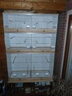 Broedkooi kweekkooi vogel, Dieren en Toebehoren, Vogels | Hokken en Kooien, Ophalen, Zo goed als nieuw, Hout, Broedkooi of Kweekkooi