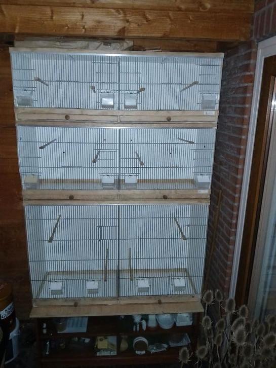 Broedkooi kweekkooi vogel, Dieren en Toebehoren, Vogels | Hokken en Kooien, Zo goed als nieuw, Broedkooi of Kweekkooi, Hout, Ophalen