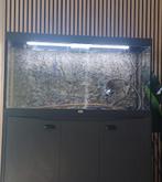 aquarium 240 liter, Ophalen, Gebruikt, Leeg aquarium