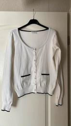 Vest wit met blauw randje Maat M Merk Yessica, Maat 38/40 (M), Ophalen of Verzenden, Zo goed als nieuw, Wit