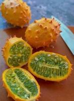 Kiwano (hoornkomkommer) zaden te koop, Ophalen of Verzenden