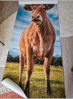 Deurposter koe 95cm x 235cm, Ophalen of Verzenden, Nieuw