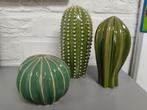 Decoratieve cactussen, Ophalen of Verzenden