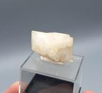 Adulaar, Kwarts - St. Gotthard, Zwitserland, Ophalen of Verzenden, Mineraal