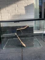 Hamster hok, Dieren en Toebehoren, Zo goed als nieuw, Ophalen, Minder dan 60 cm, Hok