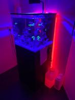 Zee aquarium 125 liter, Dieren en Toebehoren, Ophalen, Zo goed als nieuw, Leeg aquarium