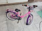 Loekie Kinderfiets 20 inch - Gebruikt, Fietsen en Brommers, Fietsen | Meisjes, Gebruikt, Loekie, Ophalen of Verzenden, Handrem