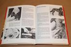 Hondeziekten [1976] — Herkenning & Behandeling — Veel Foto', Boeken, Ophalen of Verzenden, Gelezen, Honden