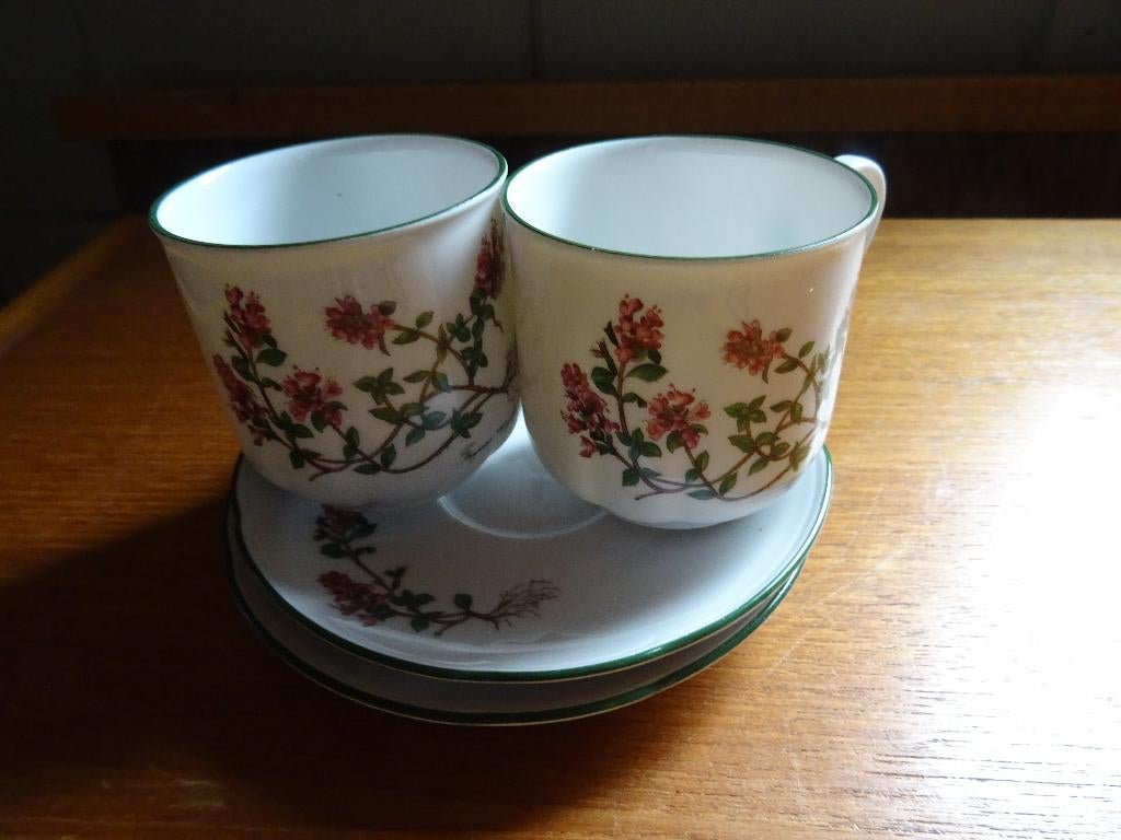 Seltmann Weiden Bavaria 2 kop en schotels, Ophalen of Verzenden, Zo goed als nieuw, Overige stijlen, Kop(pen) en/of Schotel(s)