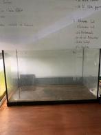 Mooi aquarium, Ophalen of Verzenden, Zo goed als nieuw
