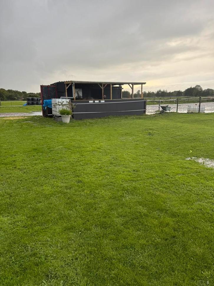 Trainingspony/paard gezocht en/of stallingsplek, Dieren en Toebehoren, Stalling en Weidegang, Stalling