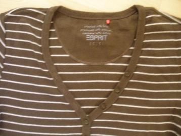 ESPRIT t- shirt bruin wit streep maat M beschikbaar voor biedingen