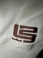 Vintage Nike LeBron James Hoodie, Kleding | Heren, Ophalen of Verzenden, Gedragen, Overige maten, Beige