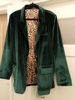 Prachtige fluwelen blazer, mooi voor de feestdagen, Kleding | Dames, Ophalen of Verzenden, Nieuw, Maat 46/48 (XL) of groter, Groen