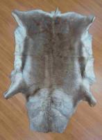 Rendierhuid 170/120, Gebruikt, 100 tot 150 cm, Etten-Leur, DJT@dejuistetoon.eu