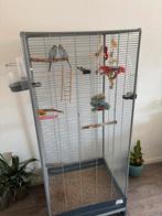 Grote vogelkooi met accessoires en 2 parkietjes te koop, Dieren en Toebehoren, Mannelijk, Tropenvogel