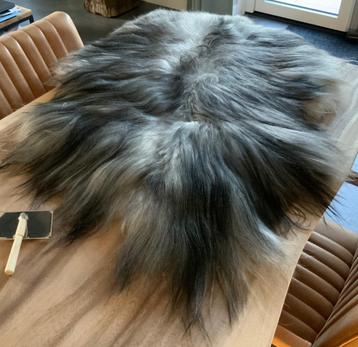 IJslandse Schapenvacht beschikbaar voor biedingen